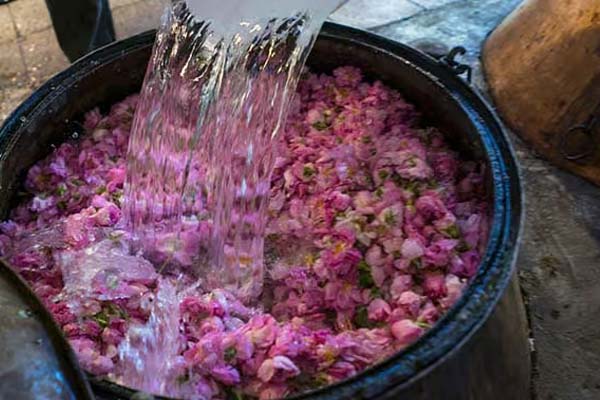 تصویر 5 از گلاب سنتی اصل