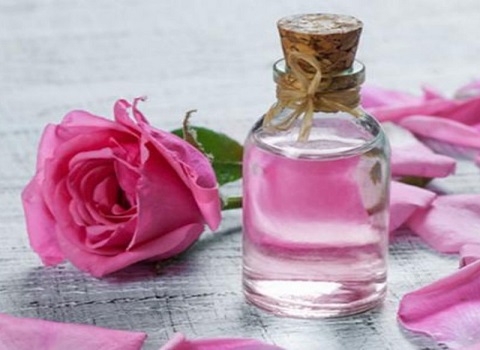 تصویر 5 از قیمت گلاب ناب کاشان