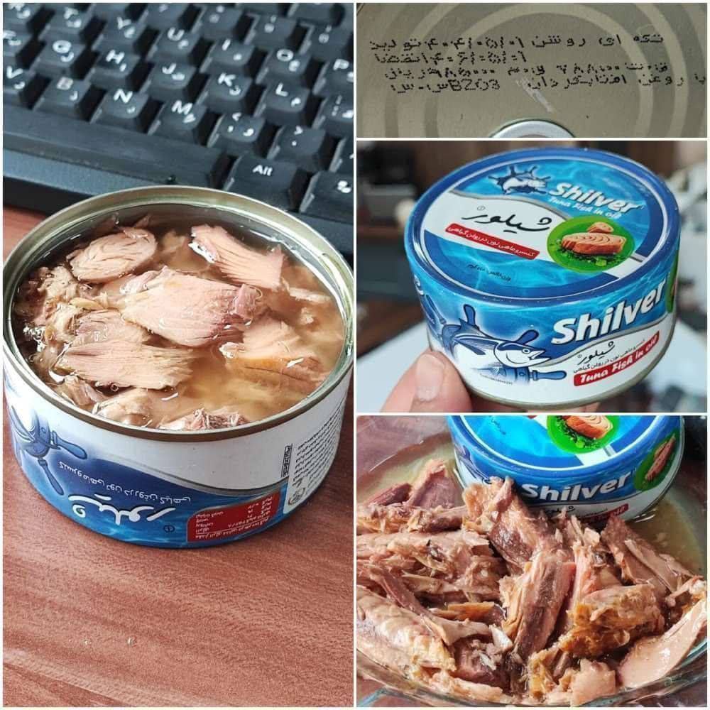 تن ماهی شیلور