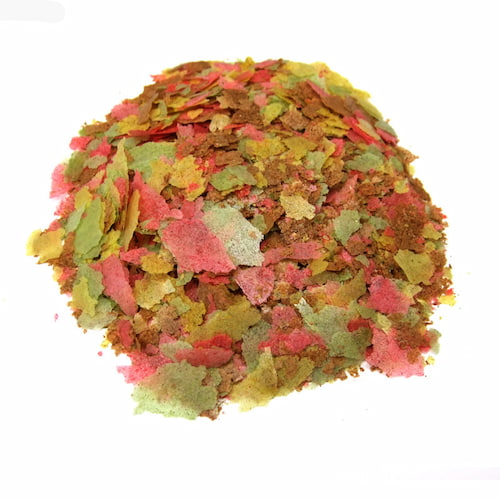 تصویر 1 از خوراک ماهی مناسب انواع آبزیان