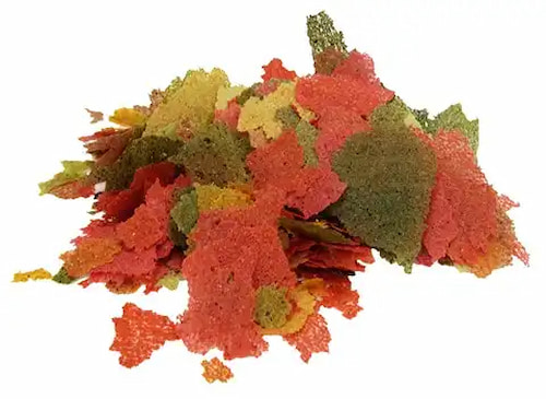 تصویر 3 از خوراک ماهی مناسب انواع آبزیان