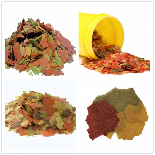 خوراک ماهی مقوی + مناسب پرورش ماهی