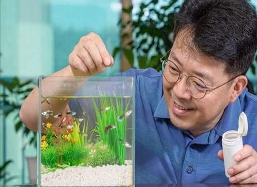 پخش مستقیم خوراک ماهی + در بسته‌ بندی‌ های مختلف