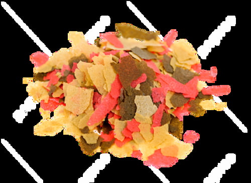 تصویر 4 از پخش مستقیم خوراک ماهی + در بسته‌ بندی‌ های مختلف