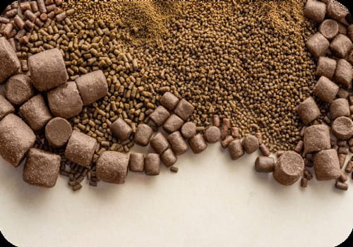 خوراک ماهی کپور با جذب بالا و انرژی مناسب