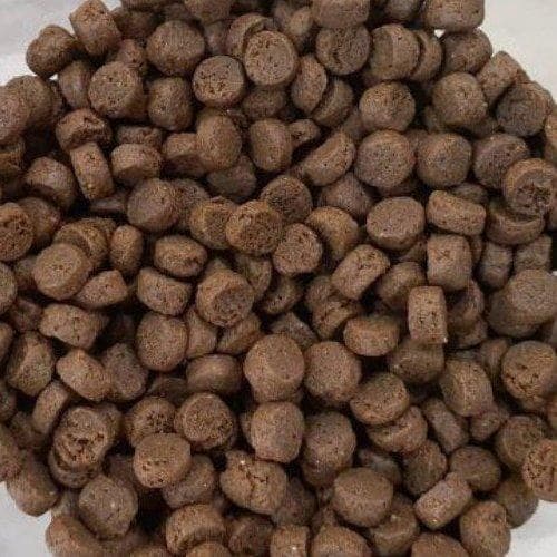 تصویر 4 از خوراک ماهی کپور اقتصادی + مناسب استخر های بزرگ