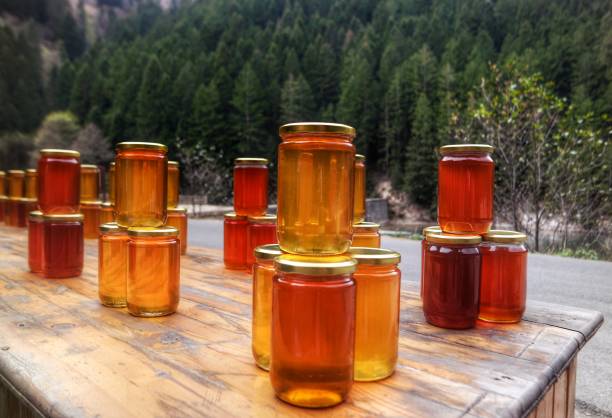 تصویر 2 از عسل وحشی با خواص تقویتی و انرژی‌ بخش