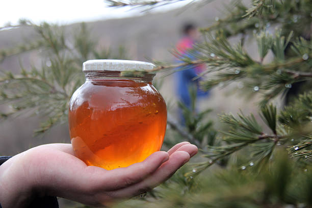 تصویر 1 از عسل وحشی با خواص تقویتی و انرژی‌ بخش