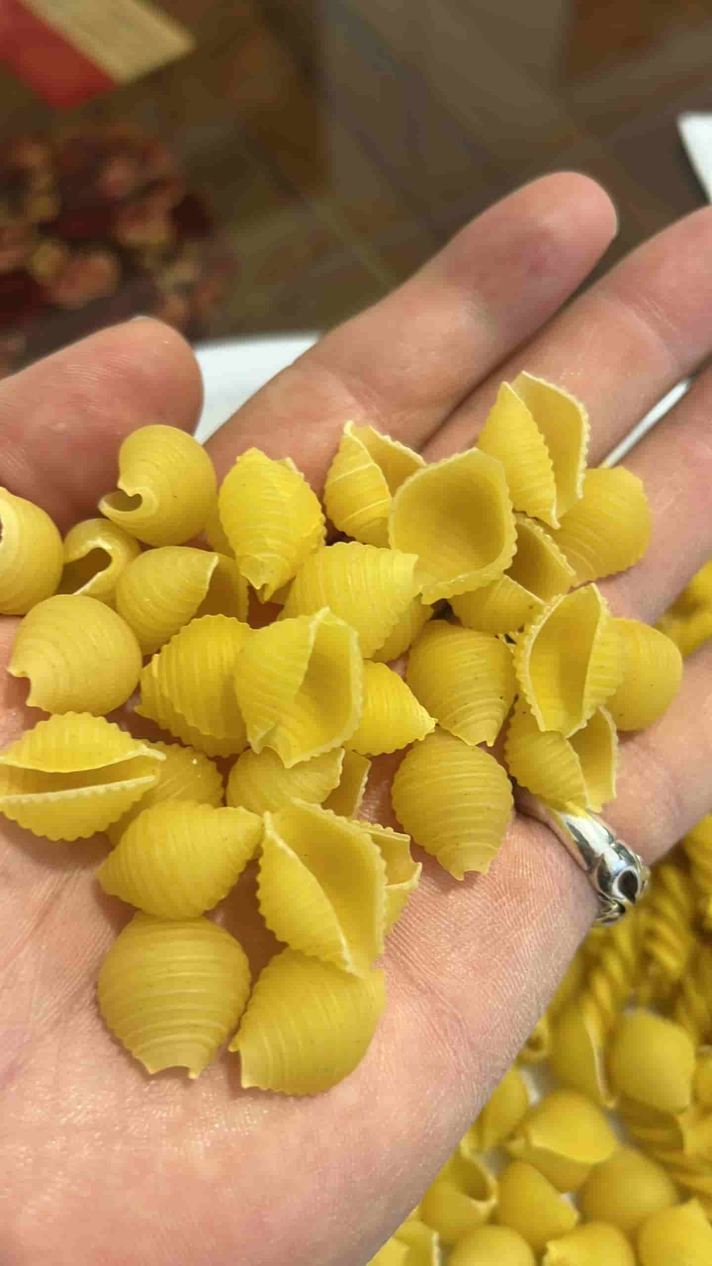 تصویر 2 از فروش عمده ماکارونی فرمی فله و بسته بندی + مستقیم از کارخانه