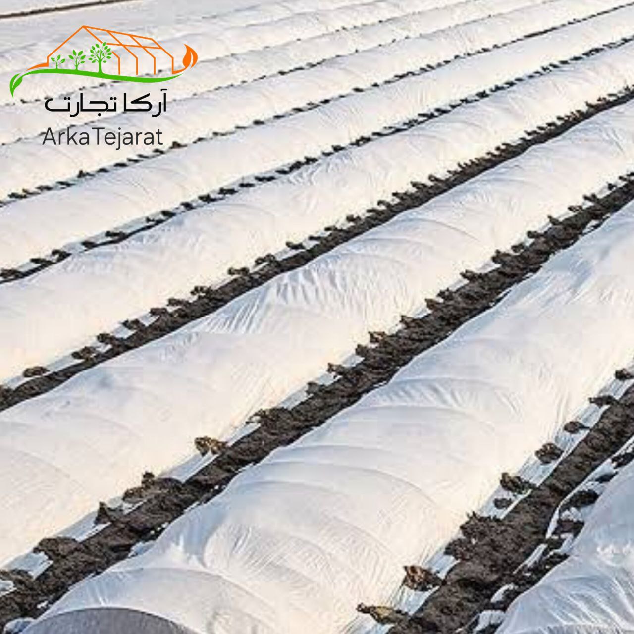 تصویر 4 از پخش عمده کاور ضد سرما کشاورزی عرض 5 متر + قیمت مناسب
