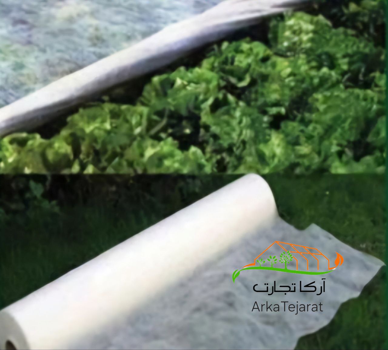 تصویر 3 از سفارش مستقیم کاور ضد سرما گوجه‌فرنگی + بهترین قیمت بازار