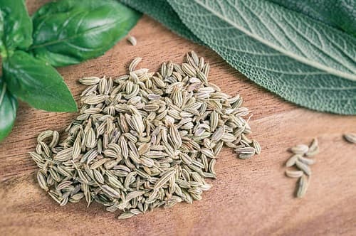 تصویر 1 از زیره سبز خراسان + تامین کننده دست اول