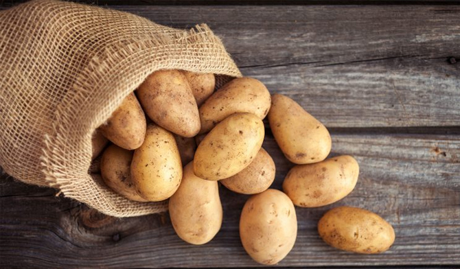 تصویر 1 از قیمت سیب زمینی شیرین + خرید باور نکردنی