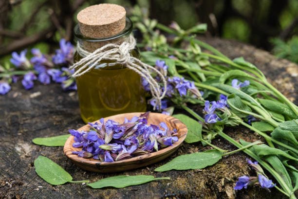 تصویر 2 از عرضه عرق کاسنی طبیعی مقرون به صرفه