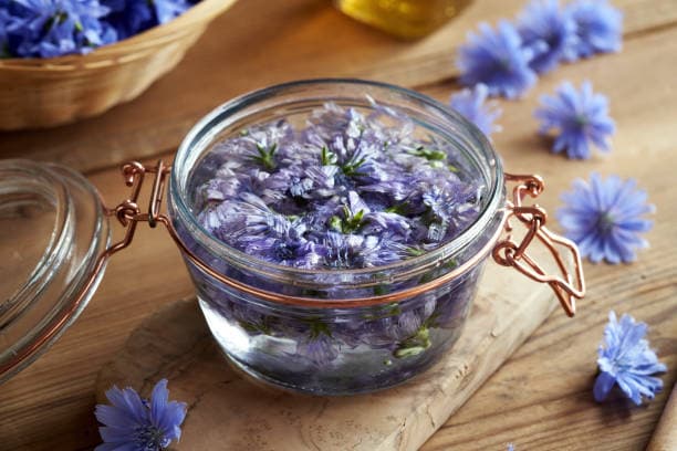 تصویر 3 از عرضه عرق کاسنی طبیعی مقرون به صرفه