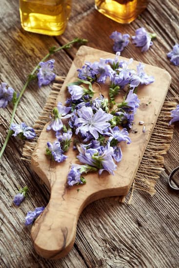 تصویر 2 از بهترین عرق کاسنی عمده + شرایط استثنایی