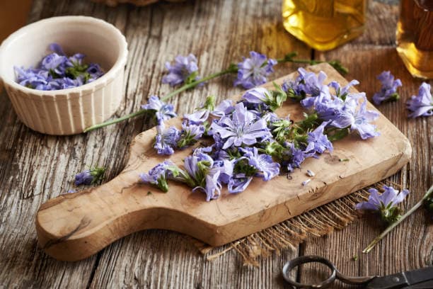 تصویر 3 از بهترین عرق کاسنی عمده + شرایط استثنایی