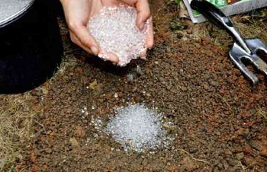 فروش ویژه هیدروژل و خاک ژله‌ای برای گیاهان شما