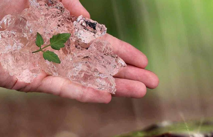 خرید هیدروژل و خاک ژله ای با بهترین قیمت ها