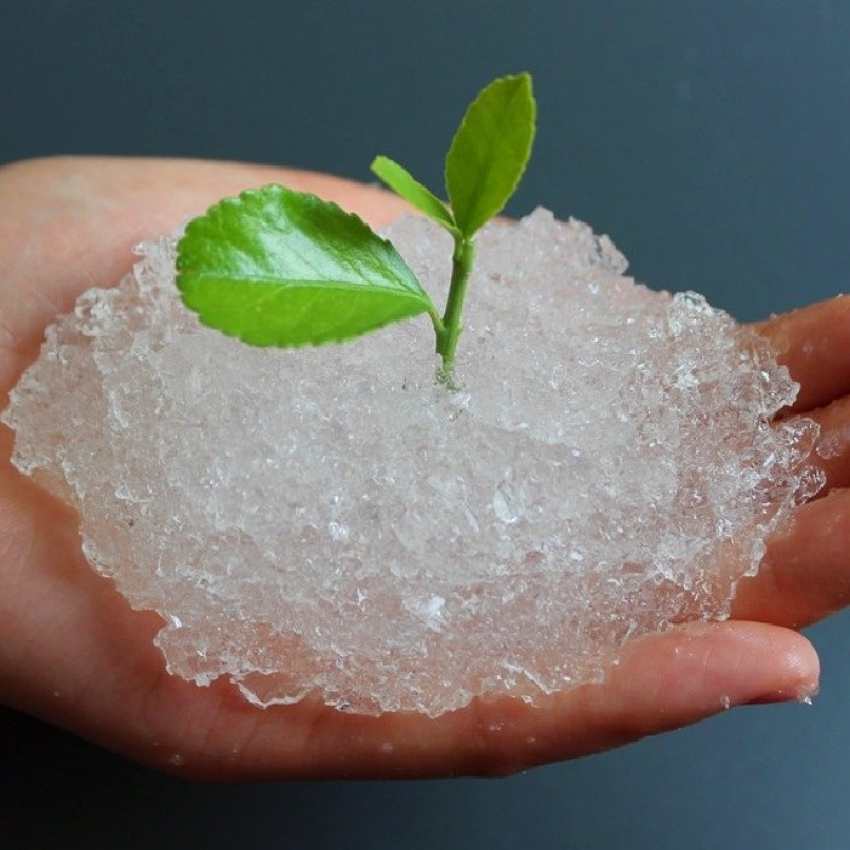 فروش خاک ژله ای و هیدروژل + گزینه ای بی نظیر برای مرطوب نگه‌ داشتن خاک