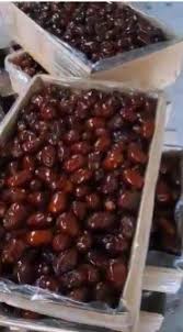 تصویر 4 از خرما کبکاب صادراتی