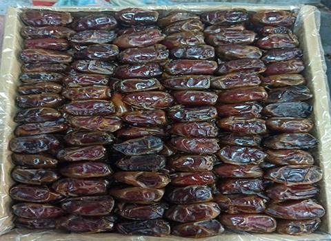 تصویر 2 از خرما کبکاب صادراتی بهترین کیفیت