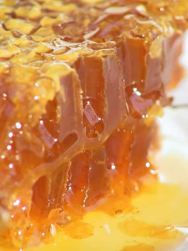 تصویر 4 از فروش عسل ییلاق  اصل ارگانیک طبیعی  جزئی و عمده