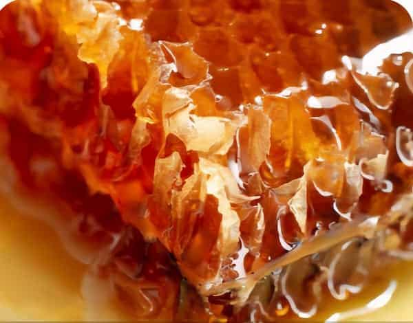 تصویر 3 از فروش عسل ییلاق  اصل ارگانیک طبیعی  جزئی و عمده