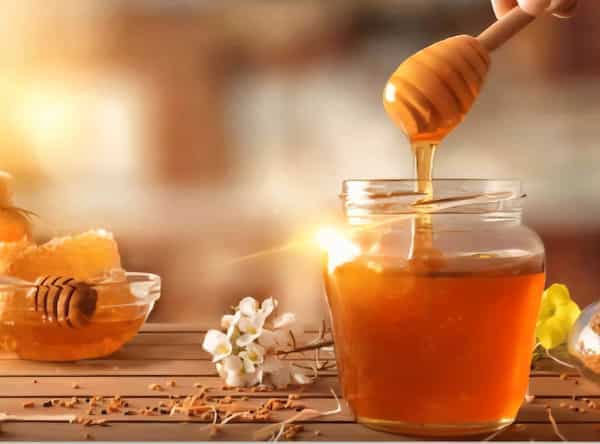 فروش  عسل  ارگانیک  بهارنارنج  طبیعی  جزئی  و عمده