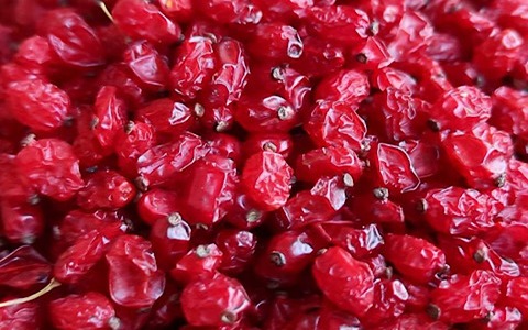 زرشک مرغوب خراسان جنوبی