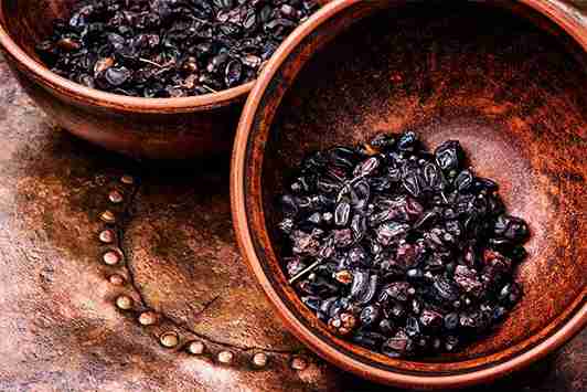 تصویر 4 از قیمت زرشک کوهی خراسان