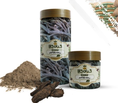 ریشه بابا آدم خشک و پودری بسته بندی فروش صادراتی
