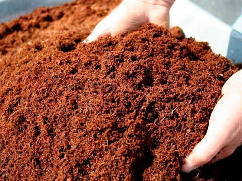 تصویر 3 از کود اوره سیاه باکیفیت در اندازه‌ های مختلف