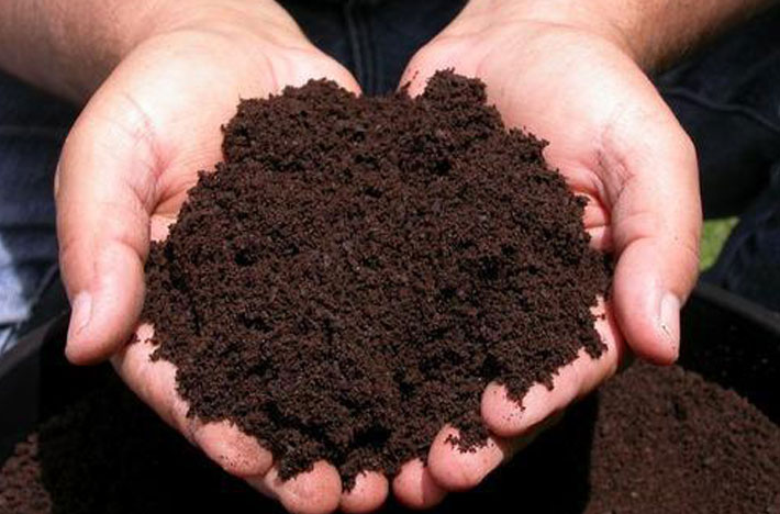 کود ارگانیک گیاهی زیستی مخصوص رشد سریع با عملکرد بالا