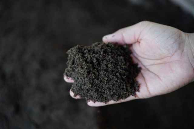 تصویر 4 از کود گندم مناسب کشاورزی + شرایط فوق العاده