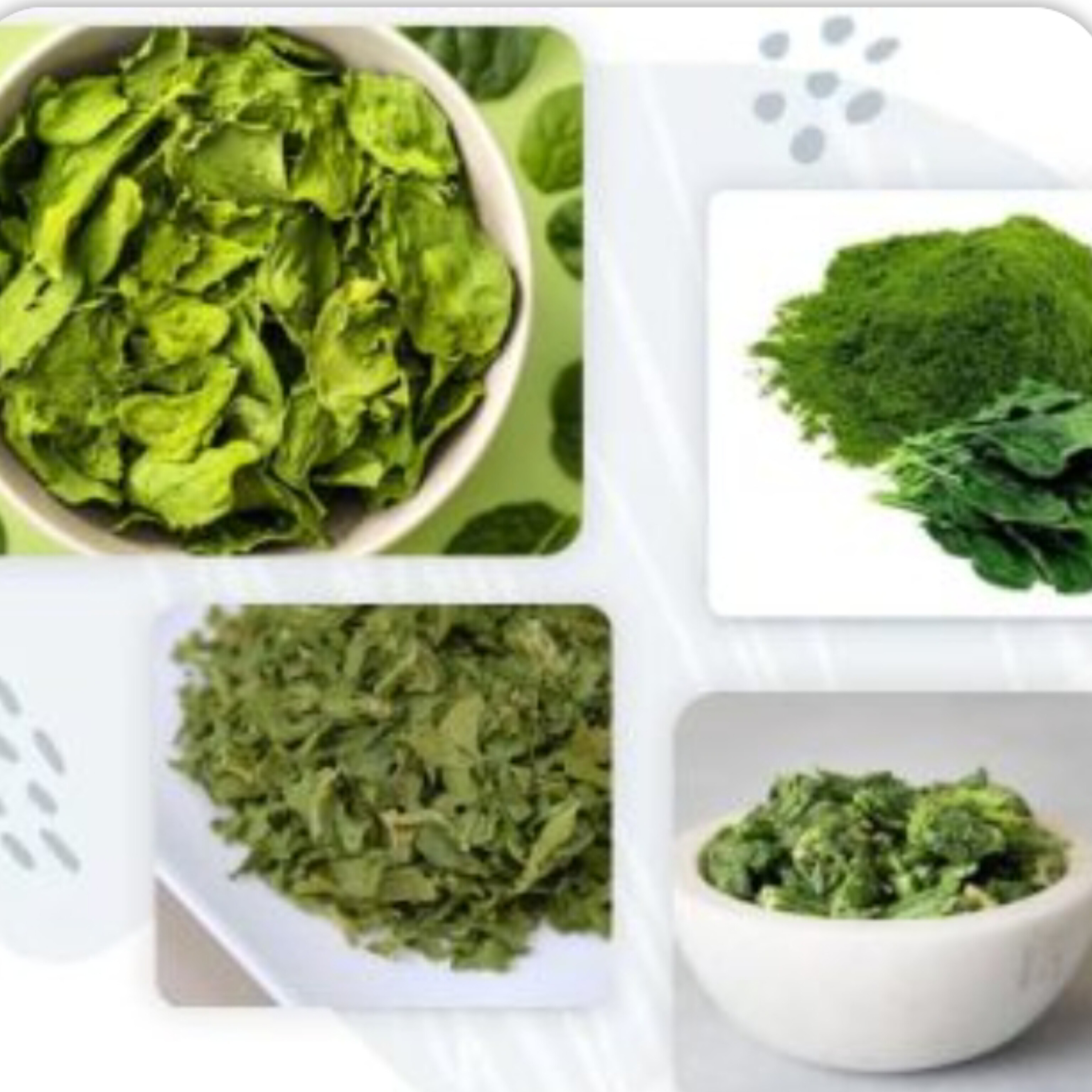 بهترین سبزی خشک اسفناج + قیمت خرید عالی