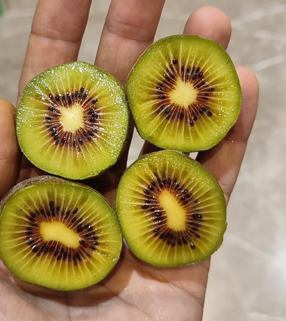 تصویر 1 از فروش کیوی تو سرخ ایرانی داخلی