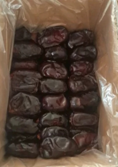 خرما کبکاب فروش عمده + خرید قیمت مناسب