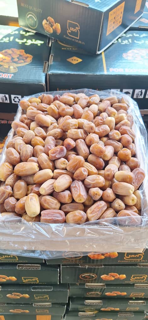 فروش خرما کبکاب