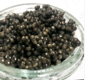 تصویر 3 از ماهی خاویاری بلوگا