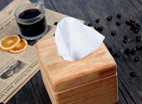 تصویر 3 از دستمال کاغذی خانواده به صرفه و اقتصادی