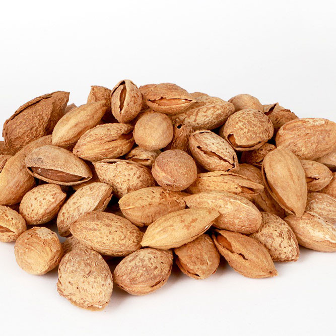 تصویر 2 از قیمت بادام پوست کاغذی با کیفیت ارزان + خرید عمده