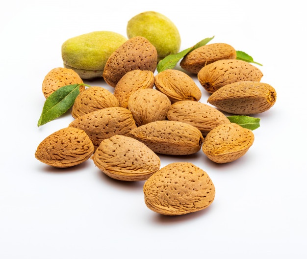 تصویر 2 از خرید فروش مغز بادام مامایی + فروش عمده