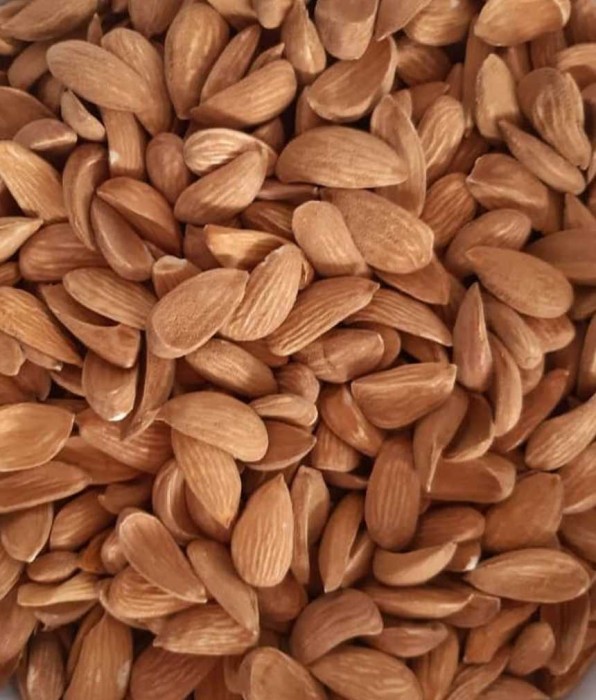 تصویر 3 از خرید فروش مغز بادام مامایی + فروش عمده