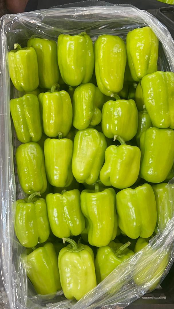 فلفل دلمه فسفری