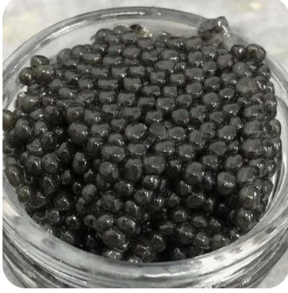 تاثیر خاویار بر مغز