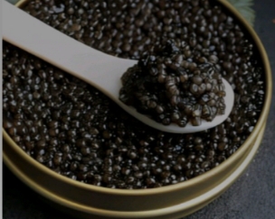 تصویر 3 از تاثیر خاویار بر مغز