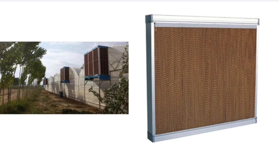 قیمت پد سلولزی