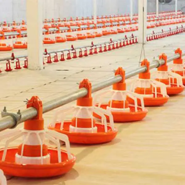 قیمت دانخوری