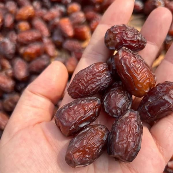 خرما ریزه پیارم انرژی خالص و طبیعی